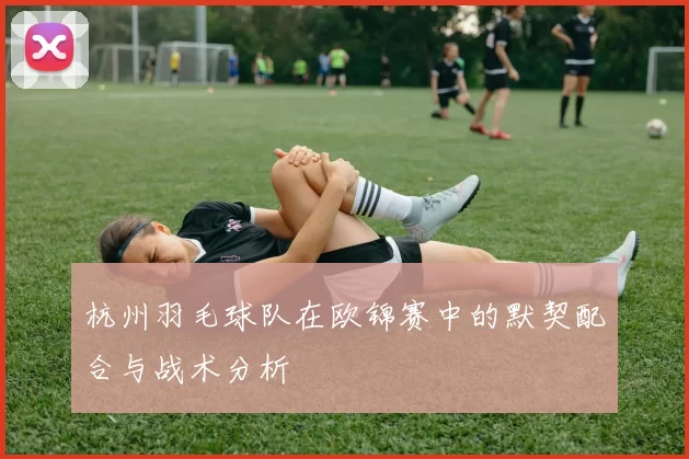 杭州羽毛球队在欧锦赛中的默契配合与战术分析