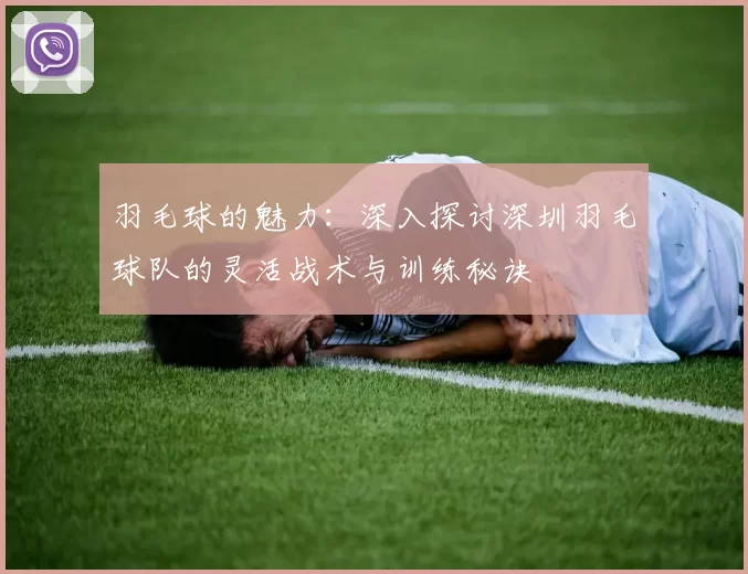 羽毛球的魅力：深入探讨深圳羽毛球队的灵活战术与训练秘诀
