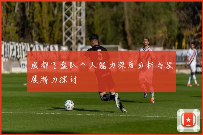 成都飞盘队个人能力深度分析与发展潜力探讨