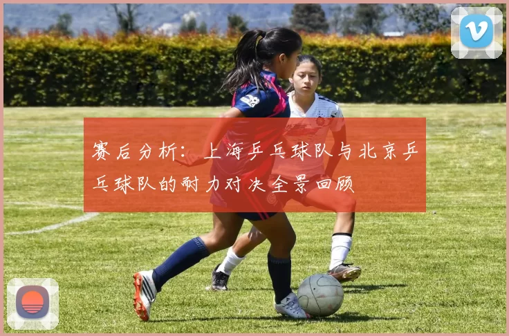 赛后分析：上海乒乓球队与北京乒乓球队的耐力对决全景回顾