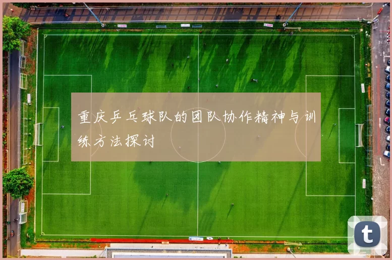 重庆乒乓球队的团队协作精神与训练方法探讨