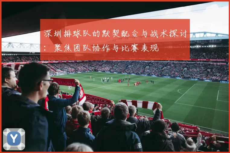 深圳排球队的默契配合与战术探讨：聚焦团队协作与比赛表现