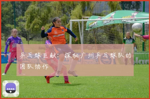 乒乓球巨献：探秘广州乒乓球队的团队协作