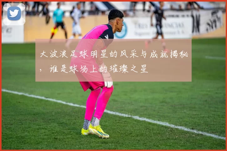 大波浪足球明星的风采与成就揭秘，谁是球场上的璀璨之星