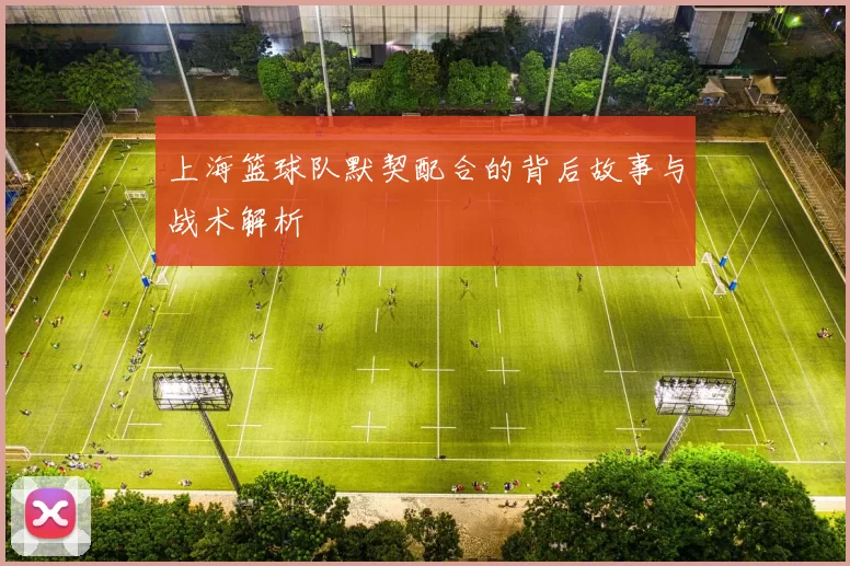 上海篮球队默契配合的背后故事与战术解析
