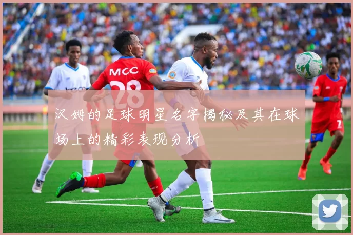 汉姆的足球明星名字揭秘及其在球场上的精彩表现分析