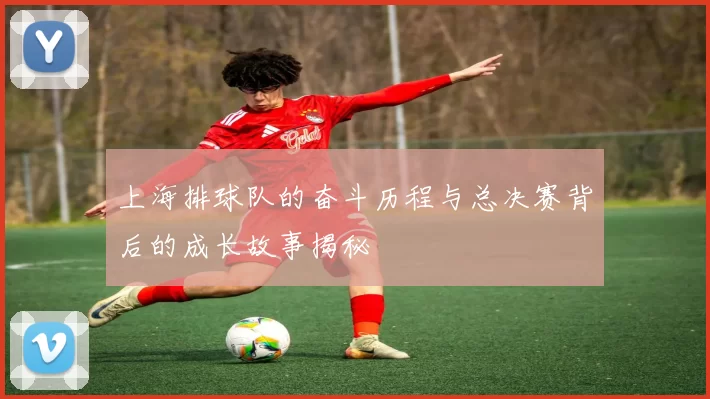 上海排球队的奋斗历程与总决赛背后的成长故事揭秘